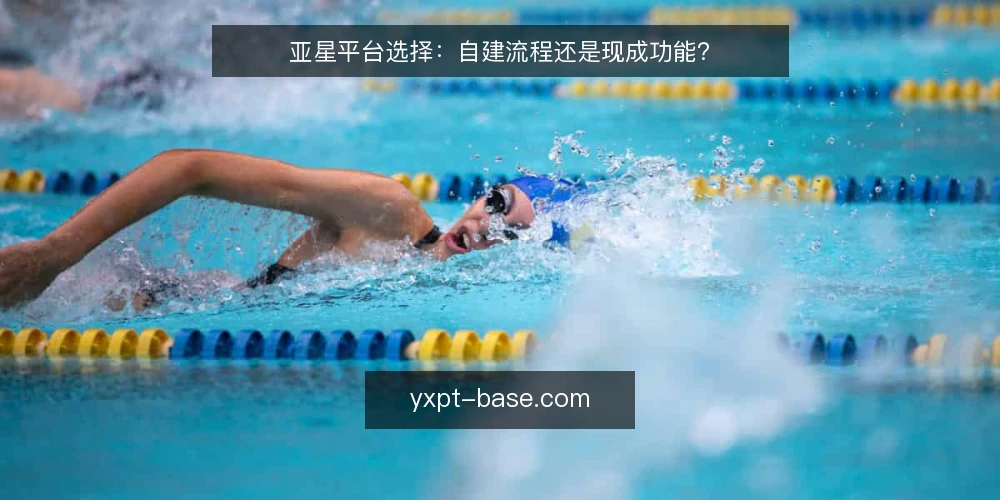 亚星平台选择：自建流程还是现成功能？ — 为什么现在需要审计 配图