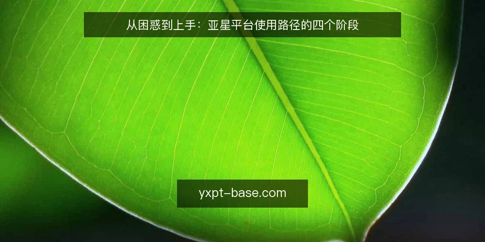从困惑到上手:亚星平台使用路径的四个阶段 — 起点:被碎片信息包围的日常 配图