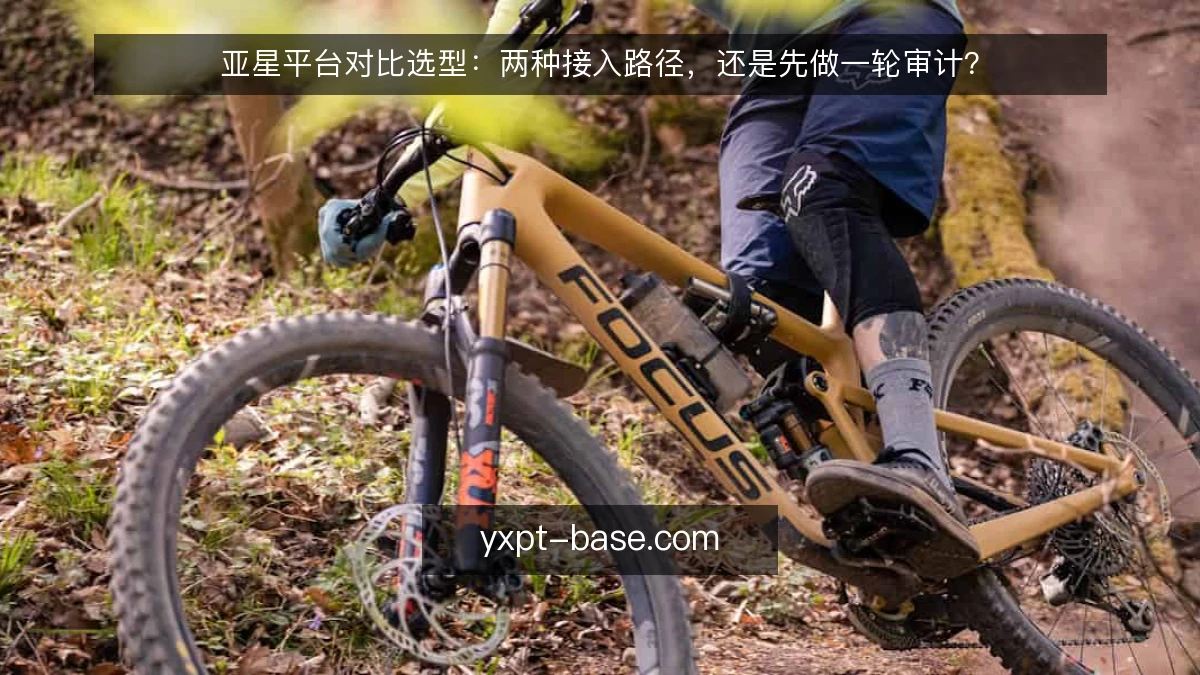 亚星平台对比选型:两种接入路径,还是先做一轮审计?