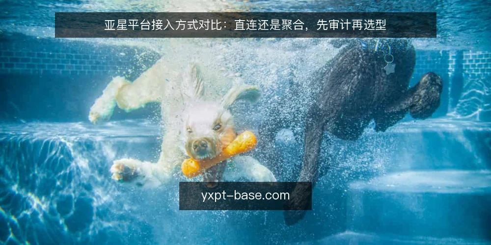 亚星平台接入方式对比:直连还是聚合,先审计再选型 — 为什么现在要做一轮接入审计 配图